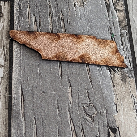 2 for $5 Item: Leather Tennessee Patch New! - Picture 4 of 5